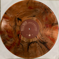 Preview: Among Other Things (LP, colored Vinyl, Ltd.) Preview: Among Other Things (LP, colored Vinyl, Ltd.)