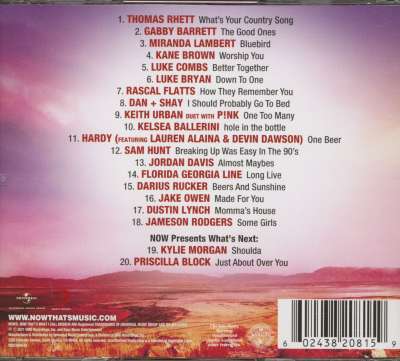 Various CD: Now That's What I Call Country Vol.14 (CD) - Bear