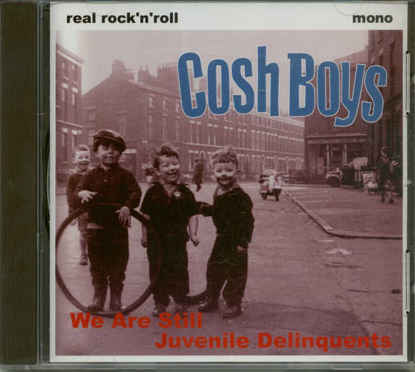 We Are Still Juvenile Deliquents (CD) We Are Still Juvenile Deliquents (CD)