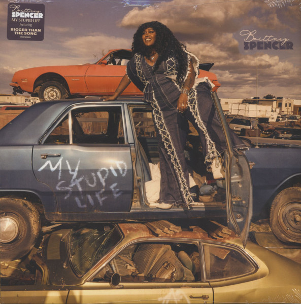 My Stupid Life (LP) My Stupid Life (LP)