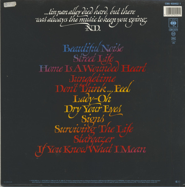 Beautiful Noise (LP)