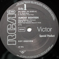 Preview: Almost Eighteen (LP, Maxi, 45rpm) Preview: Almost Eighteen (LP, Maxi, 45rpm)