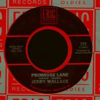 Preview: Primrose Lane - Shutters And Boards (7inch, 45rpm) Preview: Primrose Lane - Shutters And Boards (7inch, 45rpm)