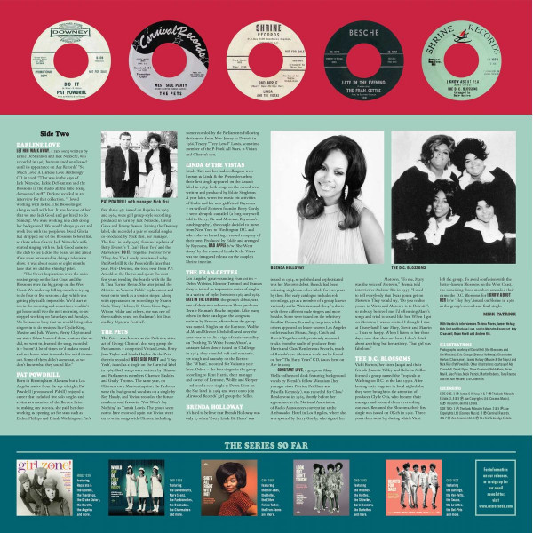 A Good Thing Goin'! - Girl Group Sounds USA 1962 - 1967 (LP)