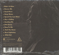 Preview: Didn't it Rain (CD) Preview: Didn't it Rain (CD)