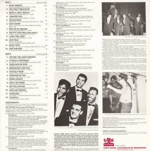 The Way You Look Tonight (LP)