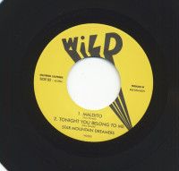 Preview: Are Trail Burning (double 7inch, 45rpm) Preview: Are Trail Burning (double 7inch, 45rpm)