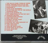 Preview: The Walls Came Tumblin' Down (CD) Preview: The Walls Came Tumblin' Down (CD)