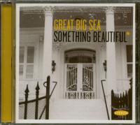 Preview: Something Beautiful (CD) Preview: Something Beautiful (CD)