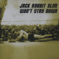 Preview: Won't Stay Down (CD) Preview: Won't Stay Down (CD)