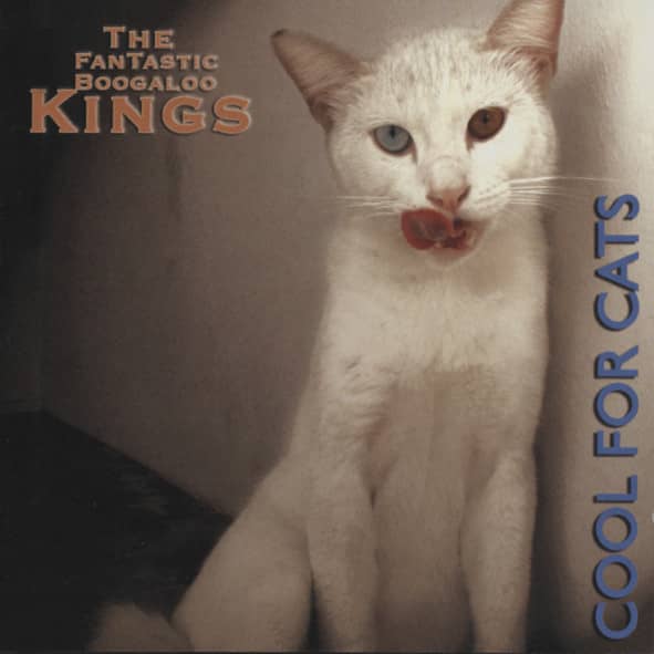 Cool For The Cats Cool For The Cats