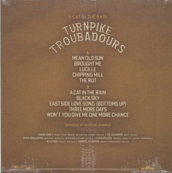 A Cat In The Rain (LP)