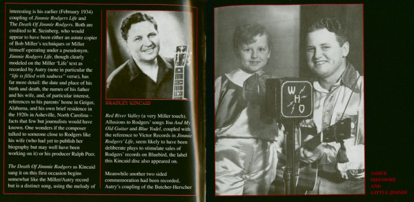 Memories Of Jimmie Rodgers - Various Artists (CD)