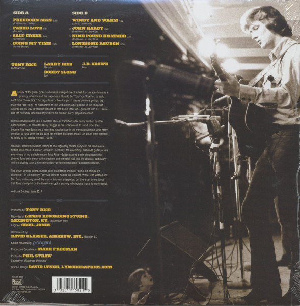 Guitar (LP)