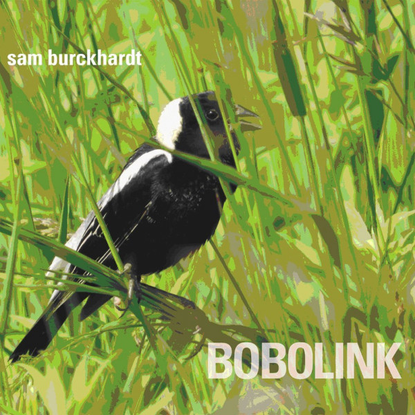 Bobolink Bobolink