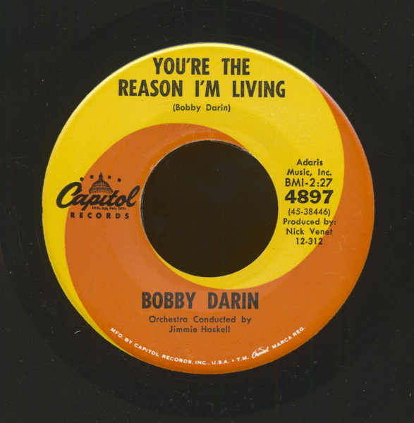 You're The Reason I'm Living - Now You're Gone (7inch, 45rpm, PS)
