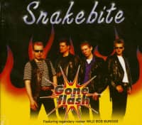 Preview: Gone In A Flash (CD) Preview: Gone In A Flash (CD)