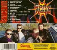 Preview: Gone In A Flash (CD) Preview: Gone In A Flash (CD)