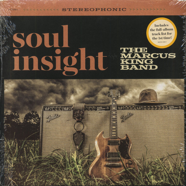 Soul Insight (2-LP) Soul Insight (2-LP)