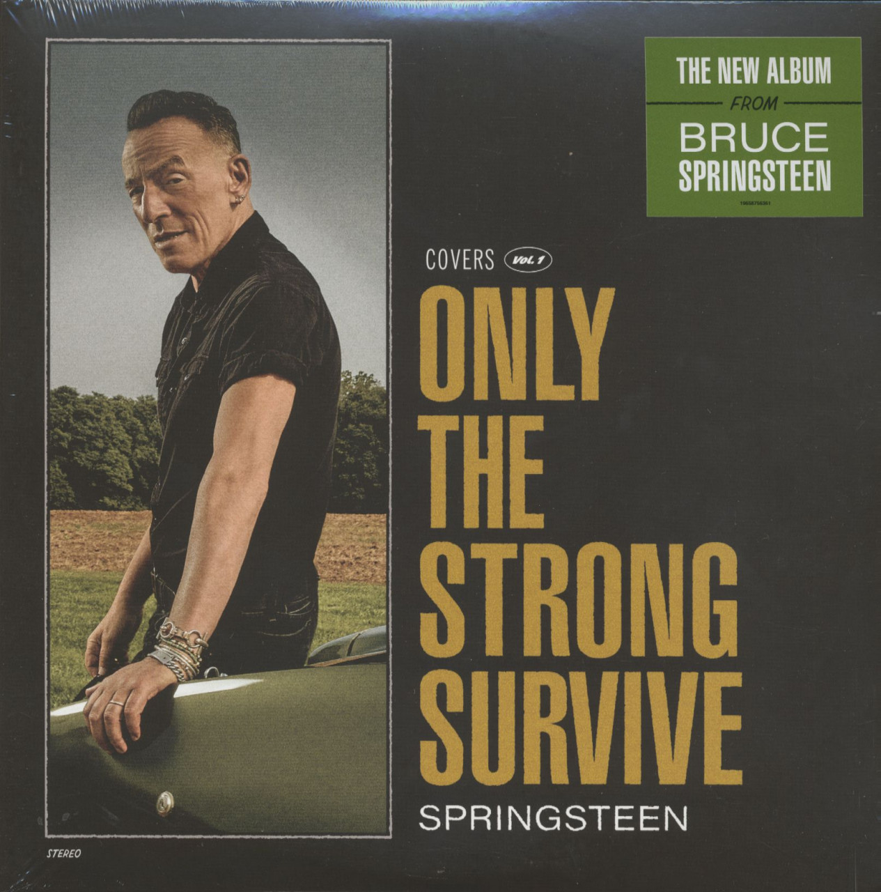 Bruce Springsteen LP: Only The Strong Survive (2-LP) - Bear Family