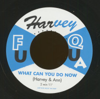 Preview: Any Way You Wanta - What Can You Do Now (7inch, 45rpm, BC) Preview: Any Way You Wanta - What Can You Do Now (7inch, 45rpm, BC)