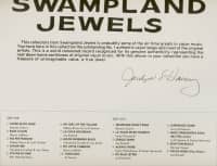 Preview: Swampland Jewels (LP & Download) Preview: Swampland Jewels (LP & Download)