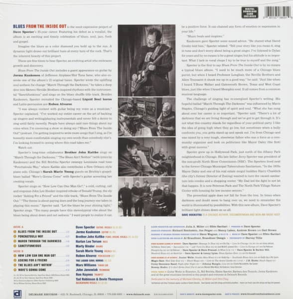 Blues From The Inside Out (LP)