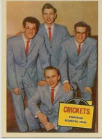 Preview: The Alternative Chirping Crickets (LP, 10inch, Cover#1, Ltd.) Preview: The Alternative Chirping Crickets (LP, 10inch, Cover#1, Ltd.)