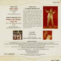 Preview: Killer Diller - Whole Lotta Shakin' Goin' On (7inch, 45rpm, PS, Ltd.) Preview: Killer Diller - Whole Lotta Shakin' Goin' On (7inch, 45rpm, PS, Ltd.)