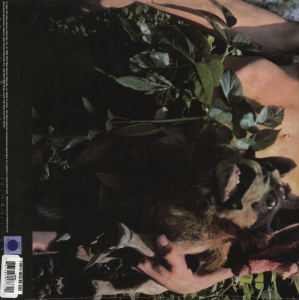 Mr. Wonderful (LP)