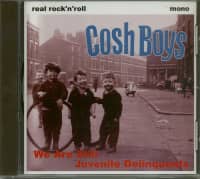 Preview: We Are Still Juvenile Deliquents (CD) Preview: We Are Still Juvenile Deliquents (CD)