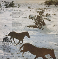 Preview: The First Popular Singing Cowboy (LP) Preview: The First Popular Singing Cowboy (LP)