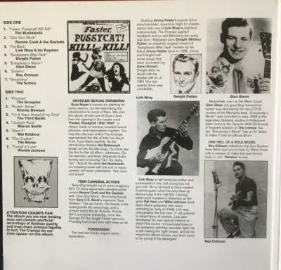 Various LP: Born Bad Vol.1 (LP) - Bear Family Records