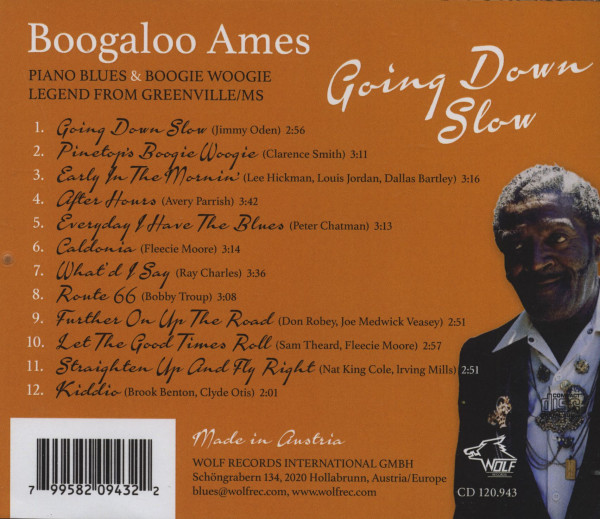 Going Down Slow (CD)