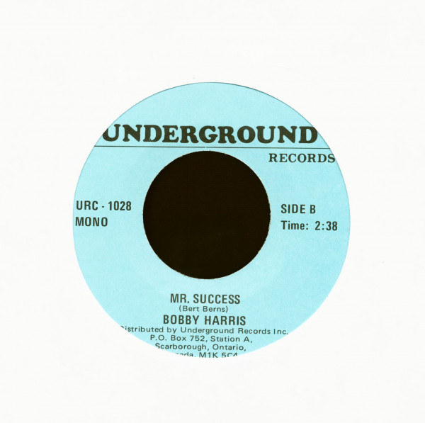 The Joker Went Wild - Mr. Success(7inch, 45rpm)