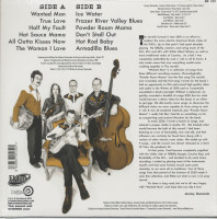 Preview: Wanted Man (LP) Preview: Wanted Man (LP)