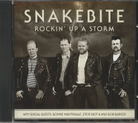 Preview: Rockin' Up A Storm (CD) Preview: Rockin' Up A Storm (CD)