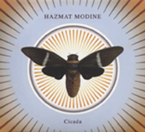 Cicada
