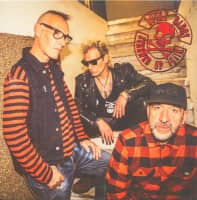 Preview: Screwed Up Again (LP) Preview: Screwed Up Again (LP)
