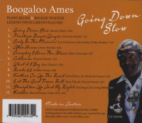 Preview: Going Down Slow (CD) Preview: Going Down Slow (CD)