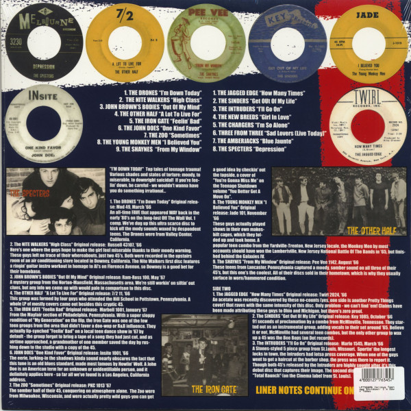 Teenage Shutdown Vol.6 - I'm Down Today (LP)