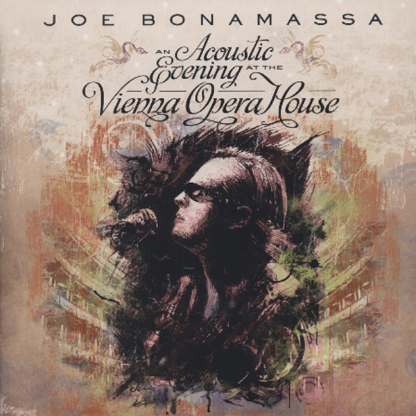 An Acoustic Evening At The Vienna Opera House