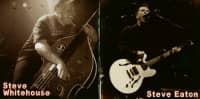 Preview: In The Blood (CD) Preview: In The Blood (CD)