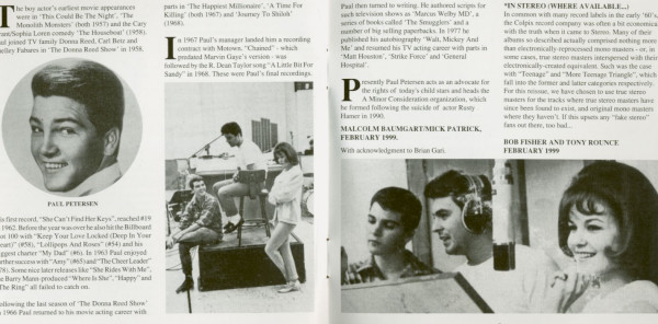Teenage Triangle - More Teenage Triangle (CD)