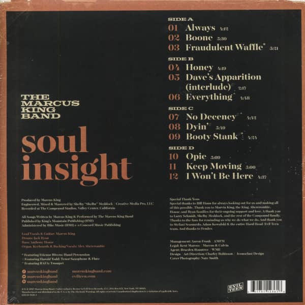Soul Insight (2-LP)