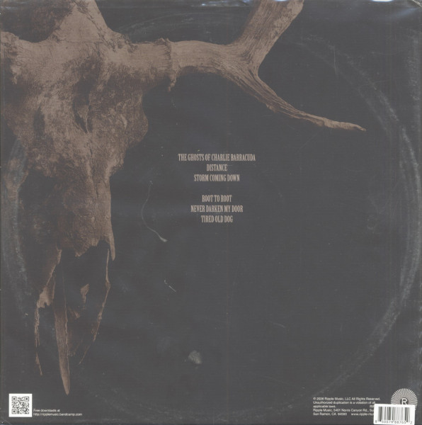 The Devil and the Almighty Blues (LP)