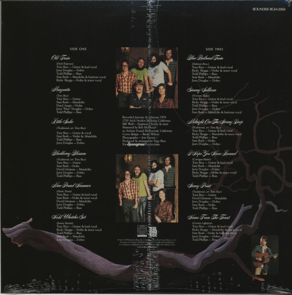 Manzanita (LP)