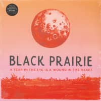 Preview: A Tear In The Eye Is A Wound In The Heart (2-LP) Preview: A Tear In The Eye Is A Wound In The Heart (2-LP)
