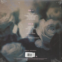 Preview: Wouldn't It Be Great (LP) Preview: Wouldn't It Be Great (LP)