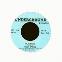 Preview: The Joker Went Wild - Mr. Success(7inch, 45rpm) Preview: The Joker Went Wild - Mr. Success(7inch, 45rpm)